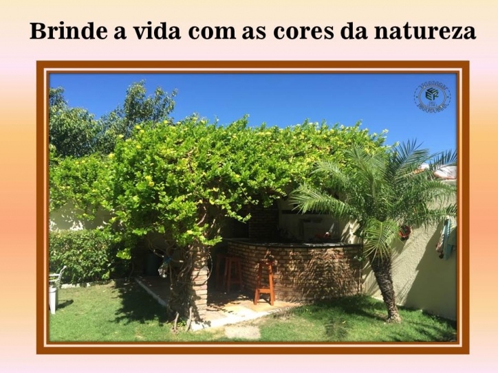 Casa à venda com 4 quartos, 490m² - Foto 3