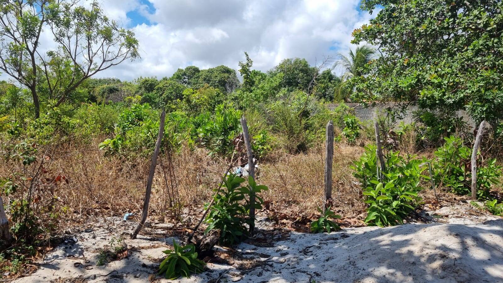 Terreno à venda, 1584m² - Foto 11